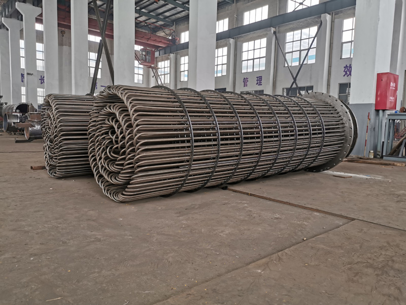 ������ʽ�������о��