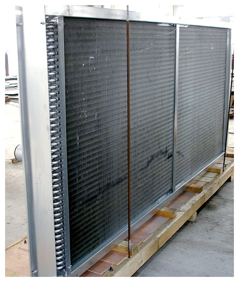 ��Ƭɢ����